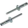 EBI S Bolt Rivet diameter Plate thickness SNS64095 (250 pieces) 6.4 9.5mm