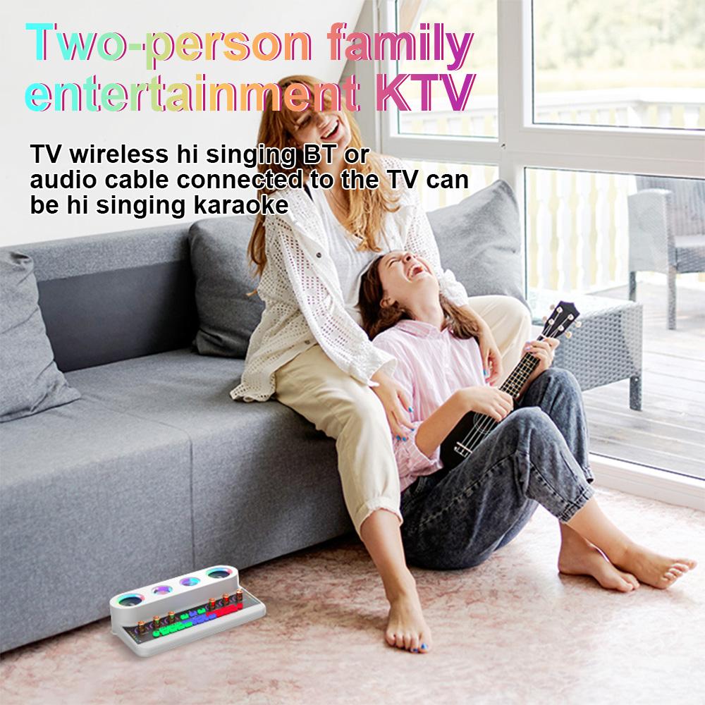 Sound Card & Audio Podcast Equipment Portable Karaoke Machine Multifunctional Rechargeable BT Sound