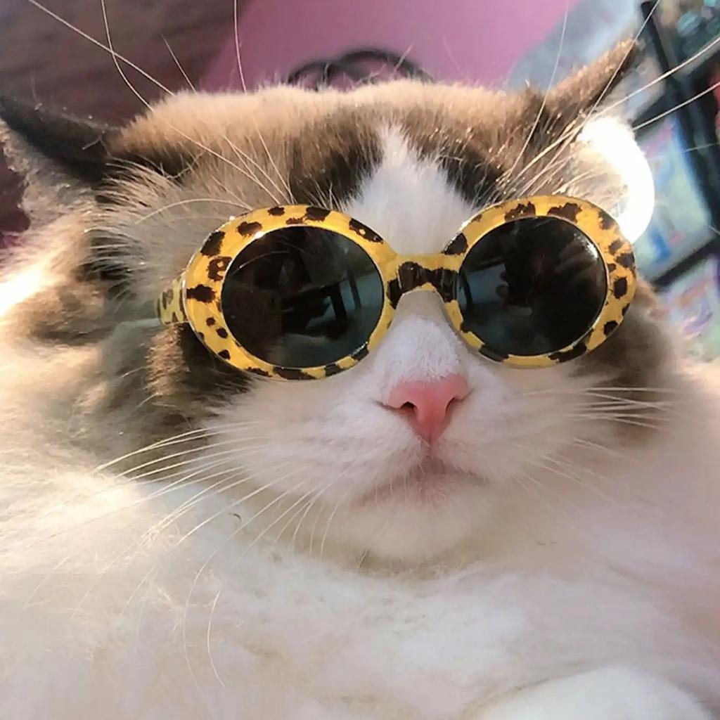 1pc-Cat Glasses Cool Pet  Fashion Round Glasses Pet Product For Pet Dog Cat Sunglasses For Photography Pet Accessories