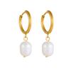 Light Luxury Simple Freshwater Pearl Earrings, Rings, Premium Earrings, Women's Stainless Steel Gold Earrings Ins