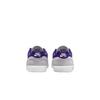 Nike Malor SB Wolfsgrau Court Purple - FV6064-006
