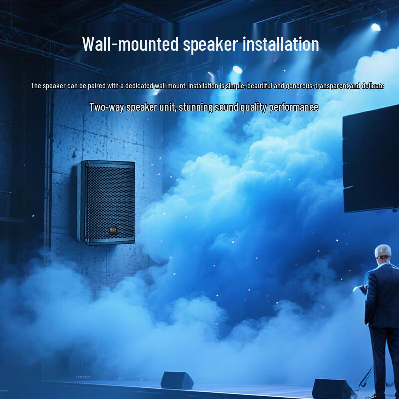 Weishu BM-680 Conference Full-range Passive Speaker (CN Version)