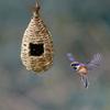 Humming Bird Houses for Outdoor Hanging Natural Grass Hanging Bird housenest