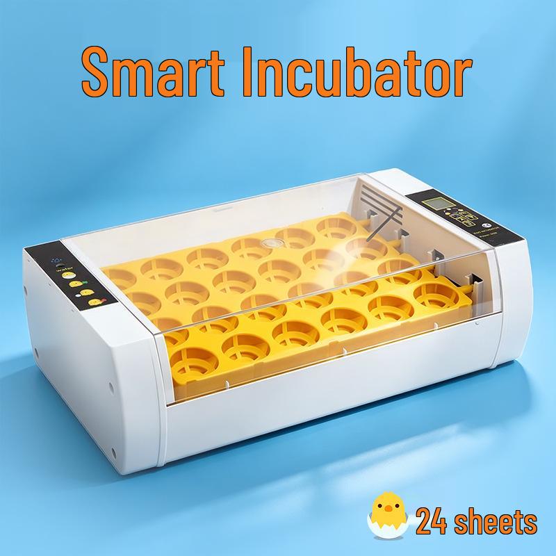 Smart Mini Egg Incubator for Parrots and Budgies: Automatic Pet Hatchery Equipment