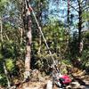 Aokedu Gasoline High-Branch Pole Saw & Pruner