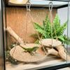 Hanging Design Lizard Bed Natural Woven Bearded Dragon Lounger Durable Terrarium Decor  Terrarium