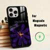 Alternative Rock Dinosaur Jr. Band Phone Case For iPhone17,16,15,14,13,12,11 Plus,For Magnetic Wireless Charge Cover