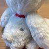 [USED] MAISON JEWELL Teddy Bear White
