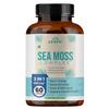 Zespo Sea Moss Complex Capsules, 60 Cap