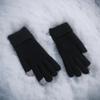 Autumn/Winter Fleece-lined Thickened Gloves, Black
