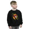DC Comics Boys The Flash Lightning Portrait Sweatshirt