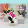 Butterfly Orchid Fake Flower For Wedding Venue Decoration And Home Ornament