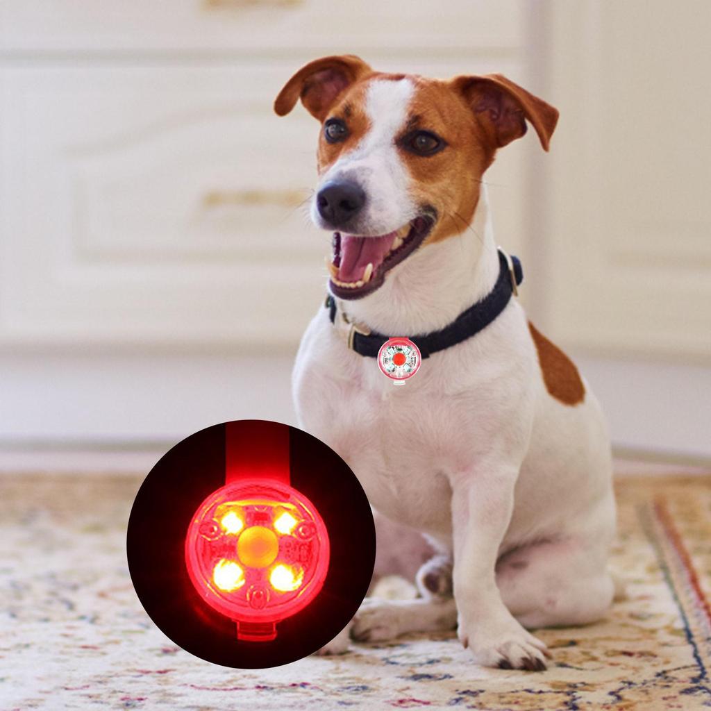 waterproof dog light