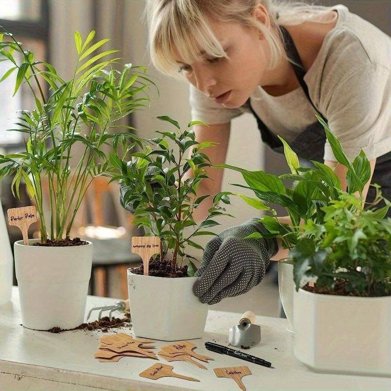 50 Stück wasserdichte Gartenetiketten aus Bambus mit Markierungsstift – langlebige T-Typ-Etiketten für Pflanzen im Innen- und Außenbereich, Setzlinge, Gemüse