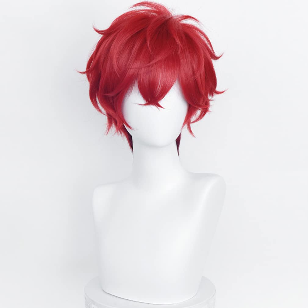 LAOBAO Cosplay Wig - Amagi Iori - Heat Resistant, Disguise Wig, Red - Costume Accessory for Parties, Halloween, Fancy Dress, School Festivals, Events