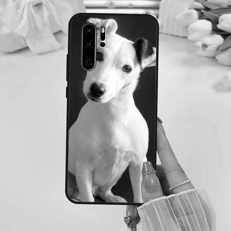Jack Russell Terrier Dog Case For Huawei Nova 5T 3i 7i 8i 11i 10 9 SE Y60 Y61 Y70 Y90 P20 P40 Lite P60 P30 Pro Cover