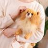 Real Life Simulation Pomeranian Dog Stuffed Animals Stuffed Puppy Doll  Kids Girls
