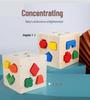 Wooden Shape Sorting Intelligence Box - 3D Geometric Blocks for Early Education & Parent-Child Interaction