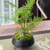 Mosses and Ferns Ceramic Flower Pot Green Plant Pot Succulent Planter Cactus Bonsai Pot Flower Container Home Decoration