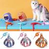 Rutschfestes Katzengeschirr Ausbruchsicheres Hundeleine Bequemes Katzenleine und Halsband Set Outdoor