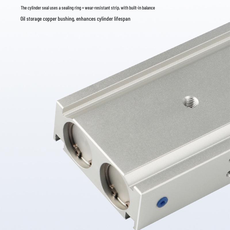 Double Shaft, Double Rod Pneumatic Cylinder TR Series (Sizes: 6/10/16/20/25/32/X10 to X100)