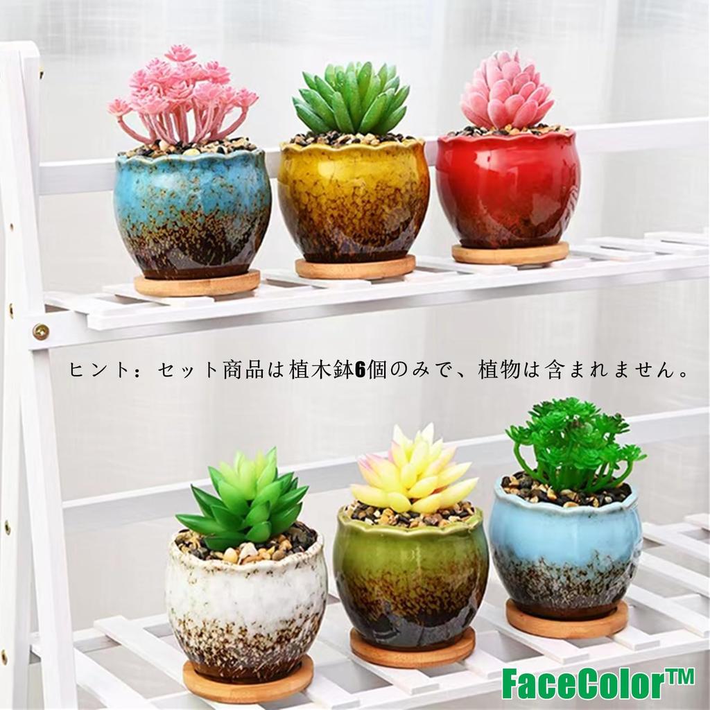 FaceColor Glazed Succulent Size Stylish Ceramic Glazed Set of 10cm Diameter x with Drainage and Bottom Net Not Pots, 3, Japanese-Style Planter,
