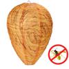 Nid de Guêpes Suspendu Lanternes Frelons Imperméable Attrape-Frelons Piège à Insectes Pliant Extérieur Patio Jardin Répulsif Abeilles Ensemble de Pièges