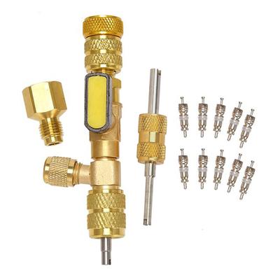 Dual Size 1/4" & 5/16" Port Valve Core Remover Installer Kit Tool with 10PCS 5v1 Valve Cores and Double Head for Refrigerant