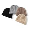 Autumn and Winter New Cashmere Hat Women's Twisted Cashmere Knitted Hat Versatile Solid Color Headgear Casual Trend
