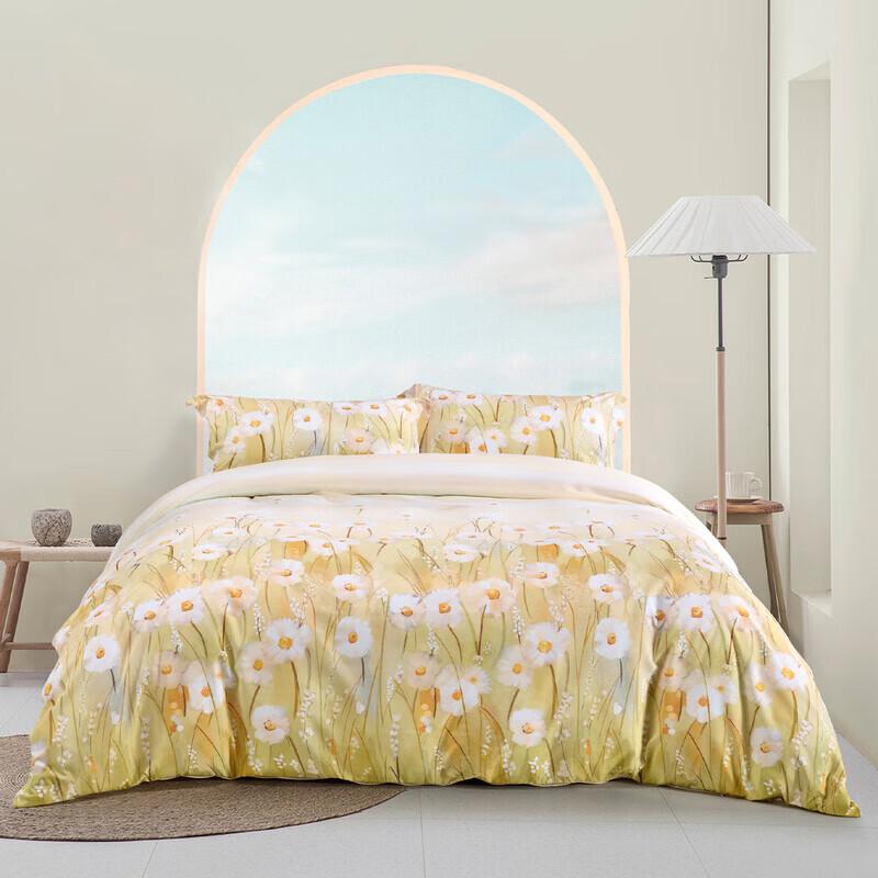

Mercury Home Textiles Flowery Dream 4-Piece Bedsheet Set