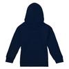 Star Wars Childrens/Kids Christmas Lights Logo Hoodie