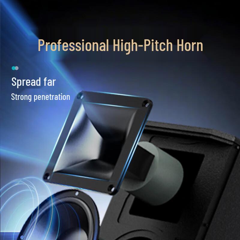 HiVi Portable Outdoor Bluetooth PA Speaker with Dual Wireless Microphones CN Plug (adapter Included)