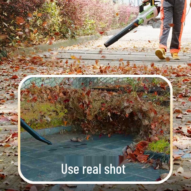 LiChen SF8A516-C Cordless Backpack Blower CN plug (adapter included)