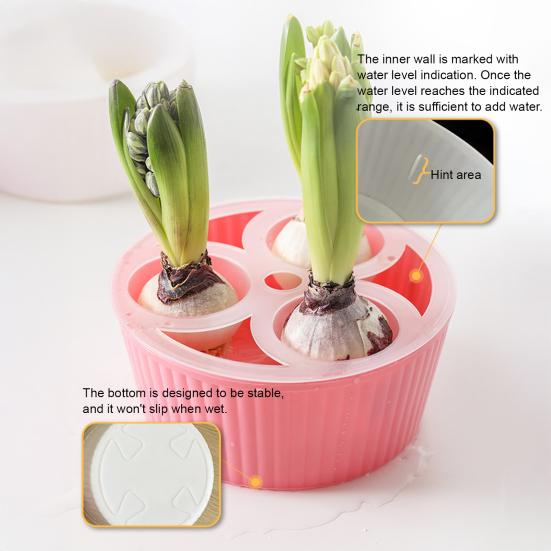 Hydroponic Bulbs Planter Pot with 3/5 Holes Tulip Narcissus Flower Bulbs Container Indoor Plants Water Planting Flowerpot Gardening Supplies