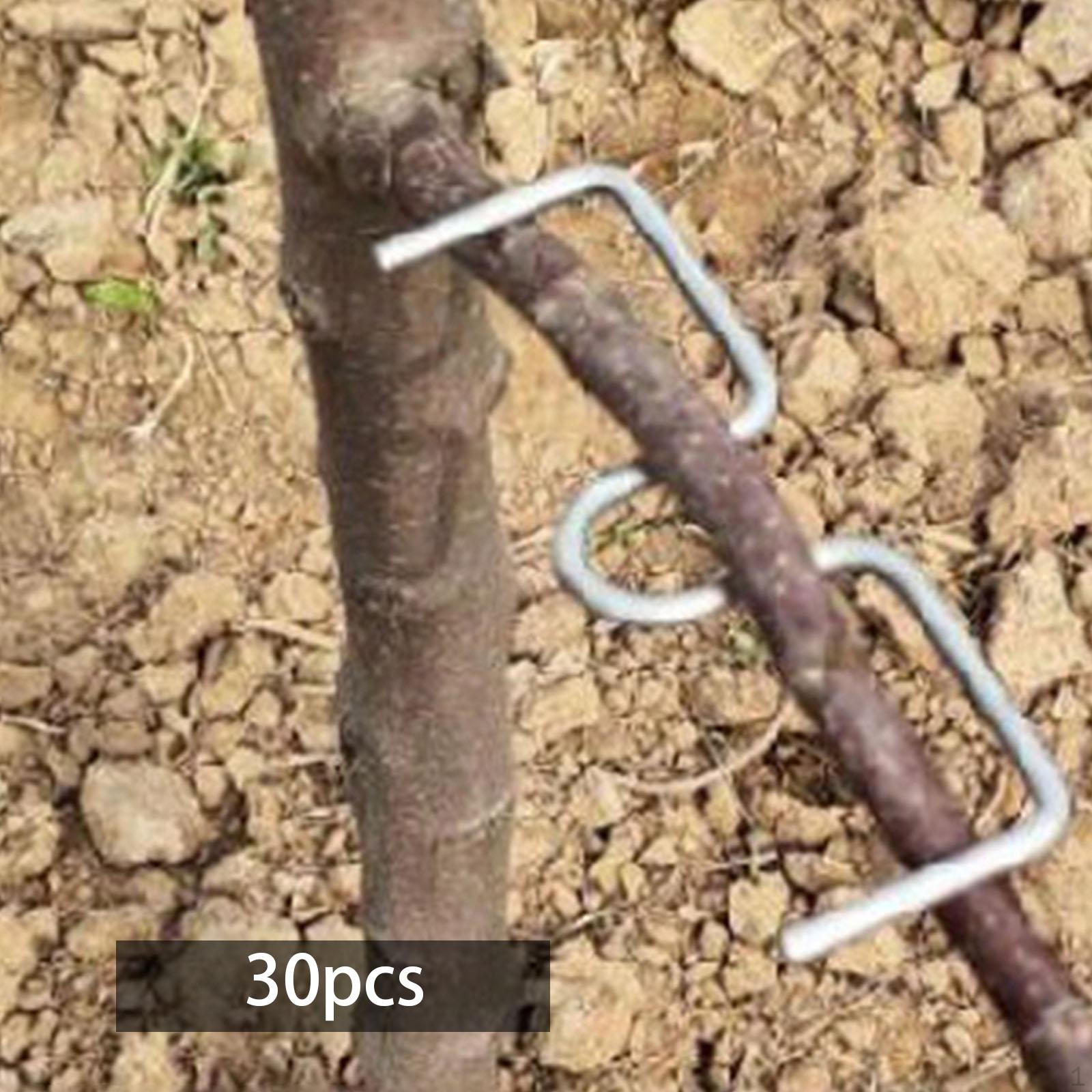 

50 шт., съемник ветвей фруктовых деревьев, формирователь стебля растения, поддержка изгиба для 13cm