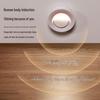 Rechargeable LED Motion Sensor Night Light for Bathroom, Stair, and Corridor