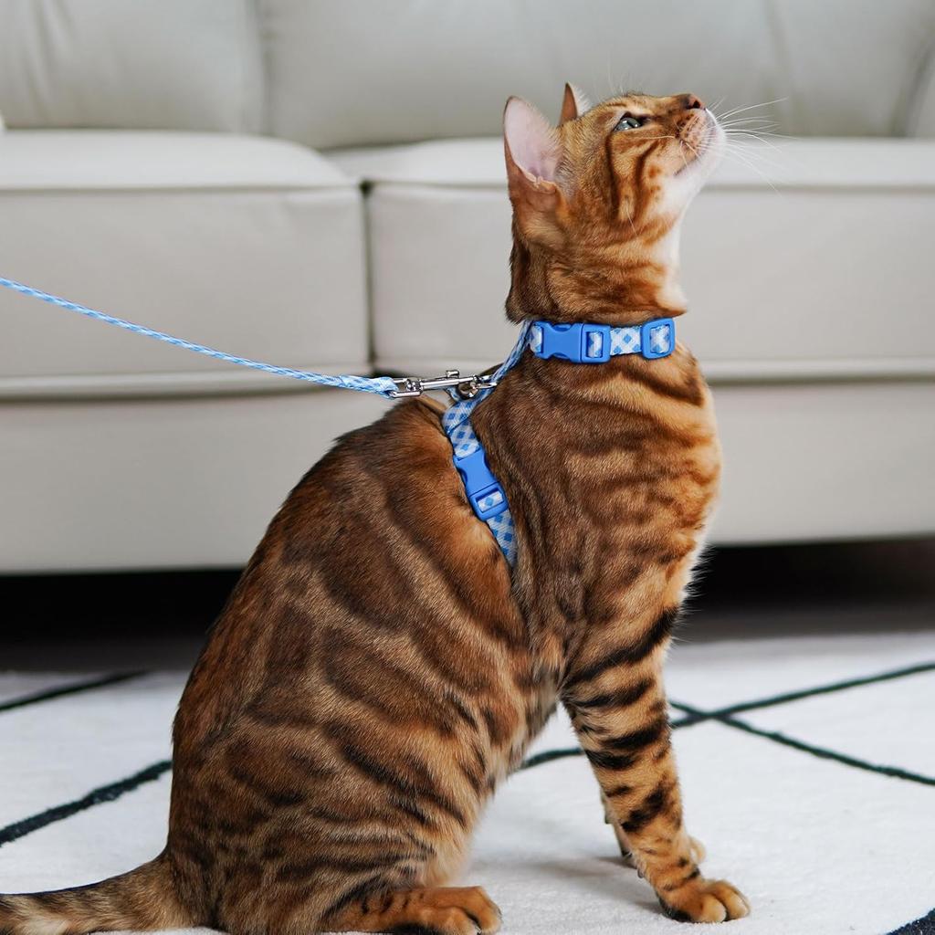.com : azuza Cat Harness and Leash Set for Safe Walking and Travel, Escape Proof Cat Harness, Lightweight Soft and Comfortable, Adjustable Kitten