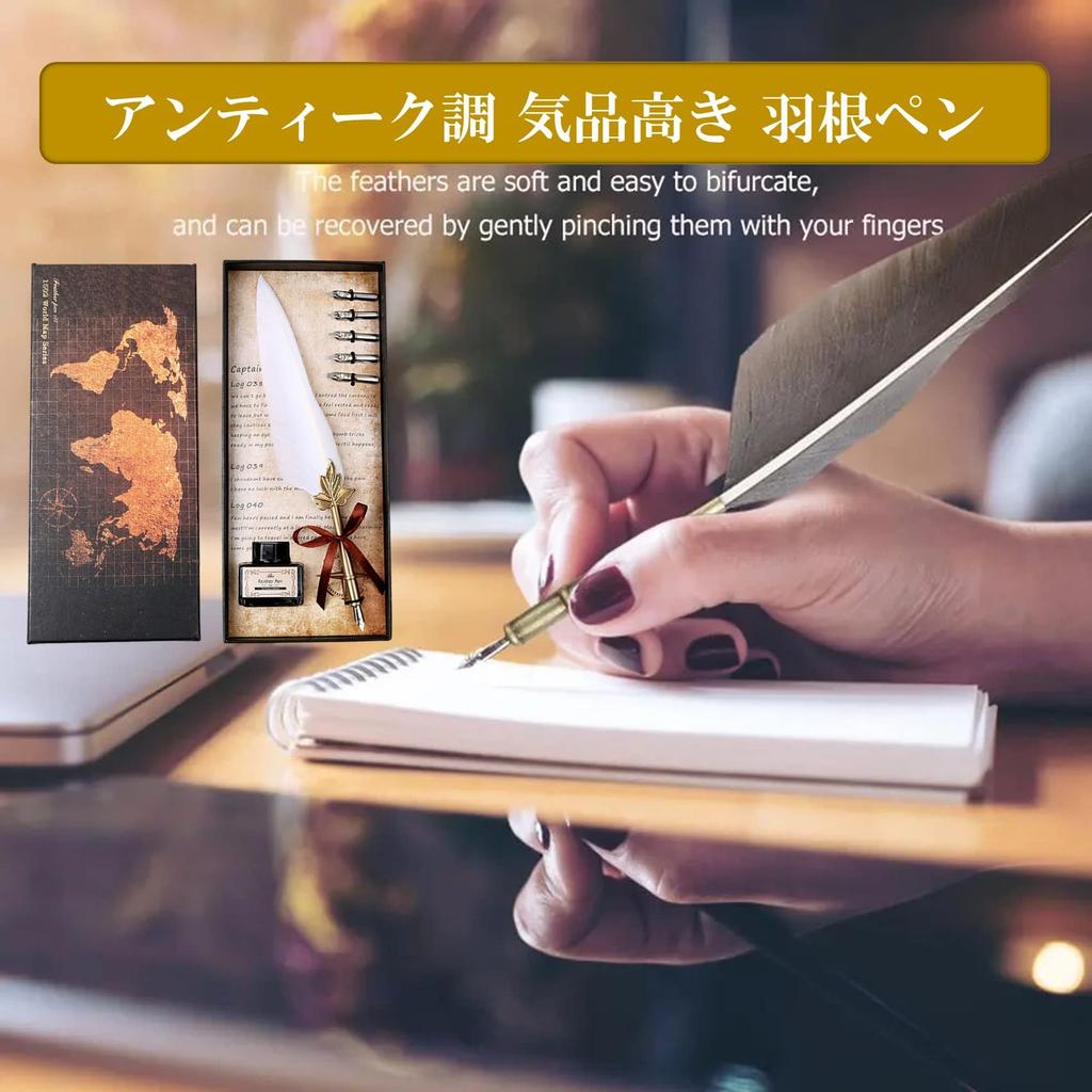 NOELAMOUR Quill Antique Fountain Ink Bottle Feather Dip Pen Pen, Pen, Set, (White)