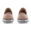 Chuck Taylor All Star Canvas Shoes Lo 'Pink Clay' 172690C