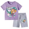 PAW Patrol Summer Cartoon Printed Boys Girls Tshirt Sets Children's Casual Shorts 2 Piece Sets Kids Tracksuits Sport Suits