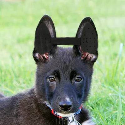 Etiqueta engomada de las herramientas del cuidado del oído del cachorro del animal doméstico para perros pequeños a medianos