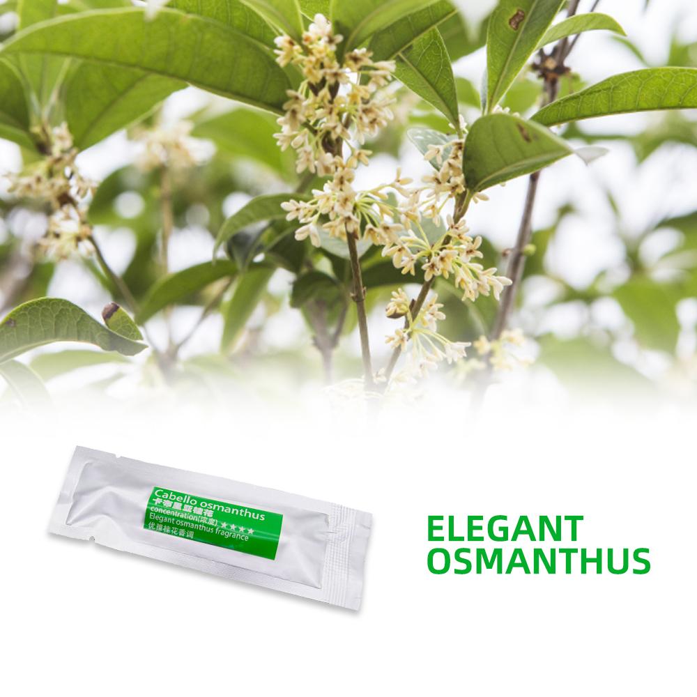 

3/5/10 шт. Безопасный твердый автомобильный парфюм, Парфюмерная добавка, Очистка воздуха, Различные ароматы, Автомобильные ароматические заправки 5pcs(Osmanthus)