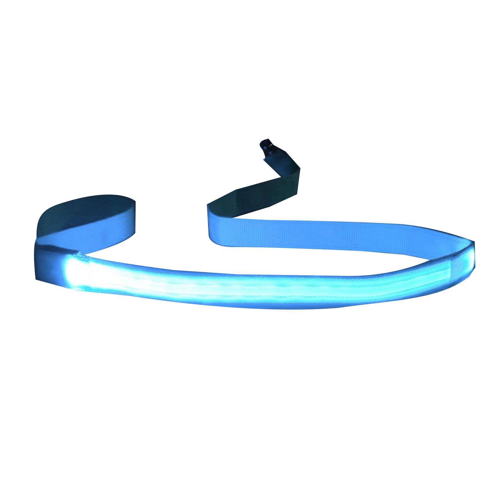 

LED Dog Leash for Walking Outdoor Night Activity Pet Leash Puppy Walking Leash Adjustable Flashing Nylon Rope Lead Leash синий