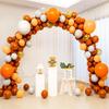 Celebration Balloon Arch Kit