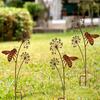 Jardinagem e paisagismo – Decoração de jardim