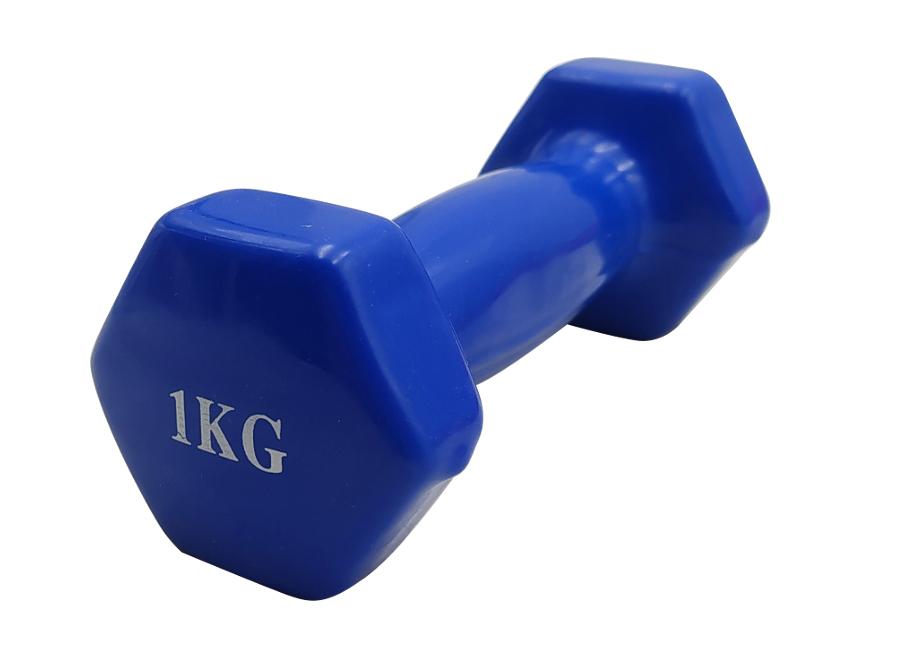 Coated Cast Iron Dumbbell