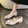Beautiful Mary Jane Shoes Women's New 2025 Silver Thick Heel High Heels French Spring and Autumn Single Shoes Small Leather Shoes