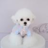 Warm Waterproof Dog Coat Small Breeds Fall Winter Outdoor Wear 4-Legged Pet Sweater Nylon Blend
