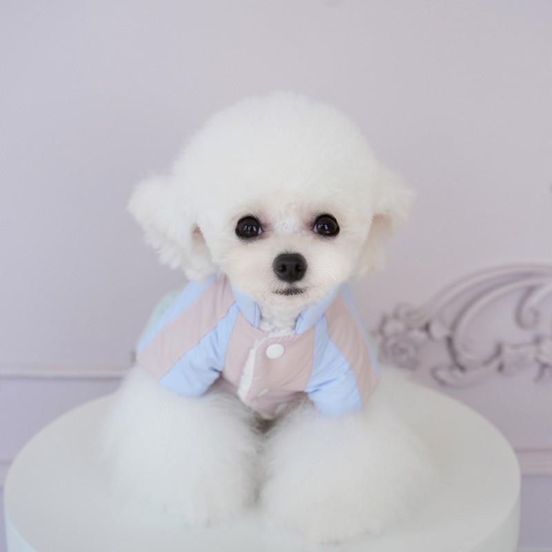 Warm Waterproof Dog Coat Small Breeds Fall Winter Outdoor Wear 4-Legged Pet Sweater Nylon Blend