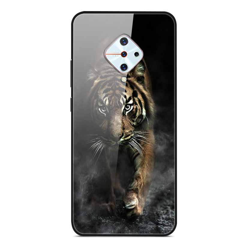 Tempered Glass Case For Vivo V17 Case Russia Glass Back Cover Soft Bumper For Vivo V17 Phone Cases V 17 Funda Y9s S1 Pro Coque